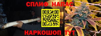 тгк Можга