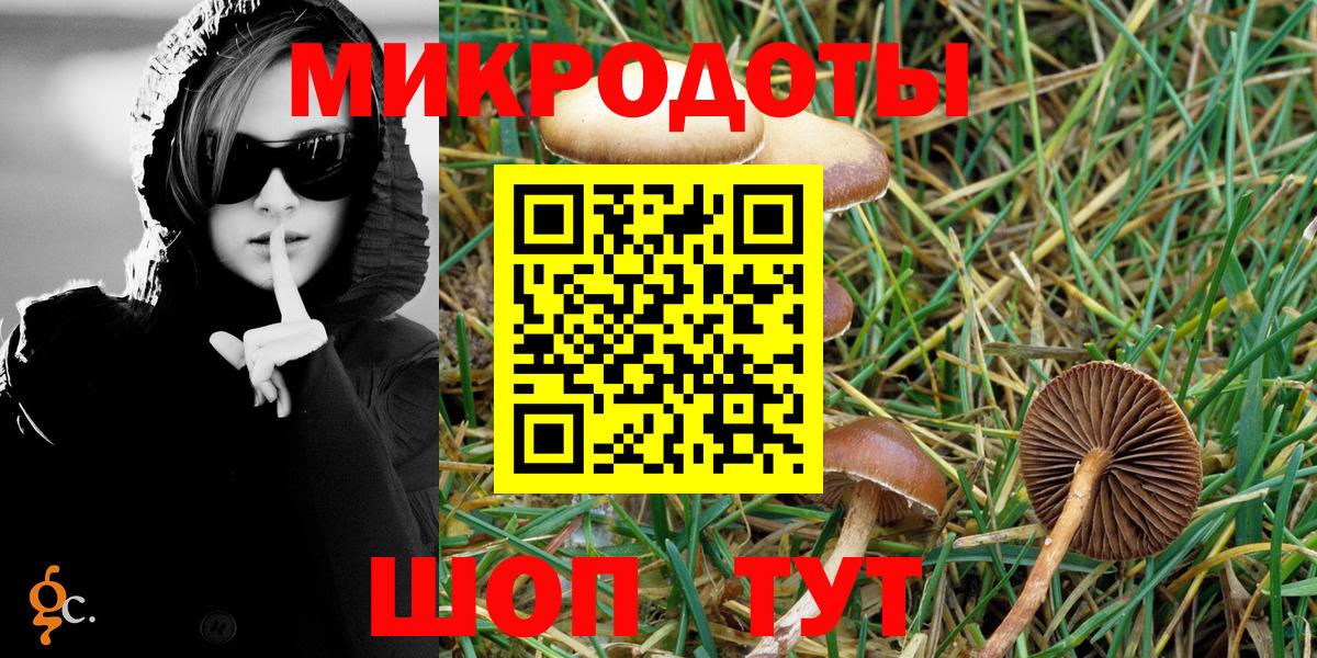 Галлюциногенные грибы Psilocybe  Галлюциногенные грибы прущие грибы  Вход с VPN  Сорочинск 