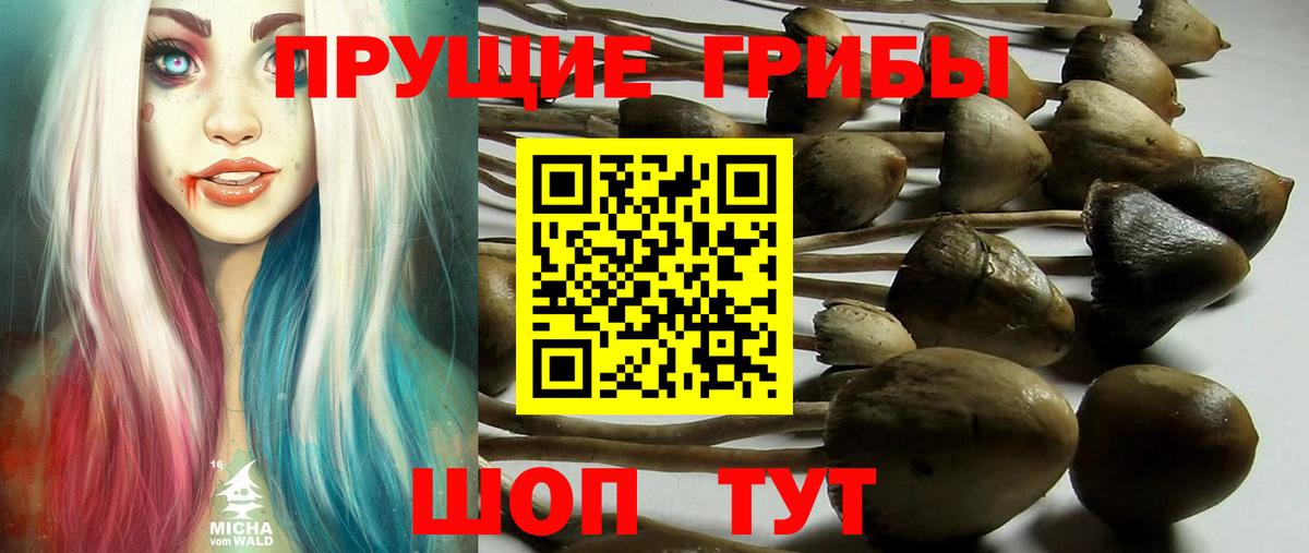 Галлюциногенные грибы прущие грибы Сорочинск